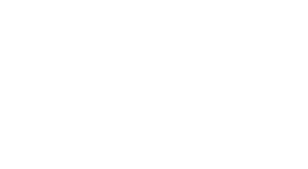 Fidelis Care logo